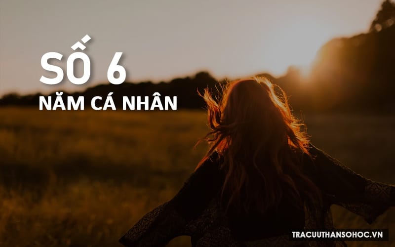 Năm cá nhân số 6 tác động đến người số 3 chủ đạo là có thể phát triển mạnh mẽ và trọn vẹn về trí não