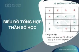 Biểu đồ tổng hợp thần số học là gì? Cách bổ sung các con số thiếu trong biểu đồ