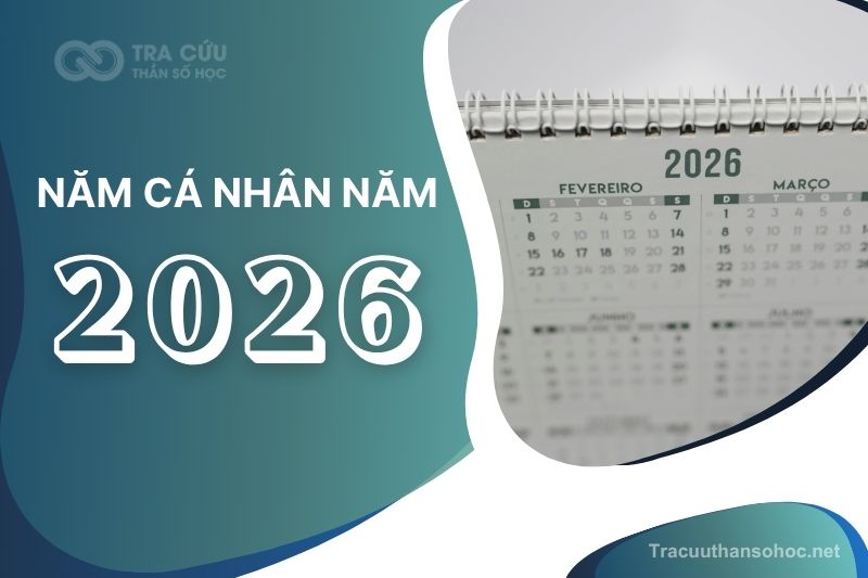 Năm cá nhân số 8 trong năm 2026 như thế nào?