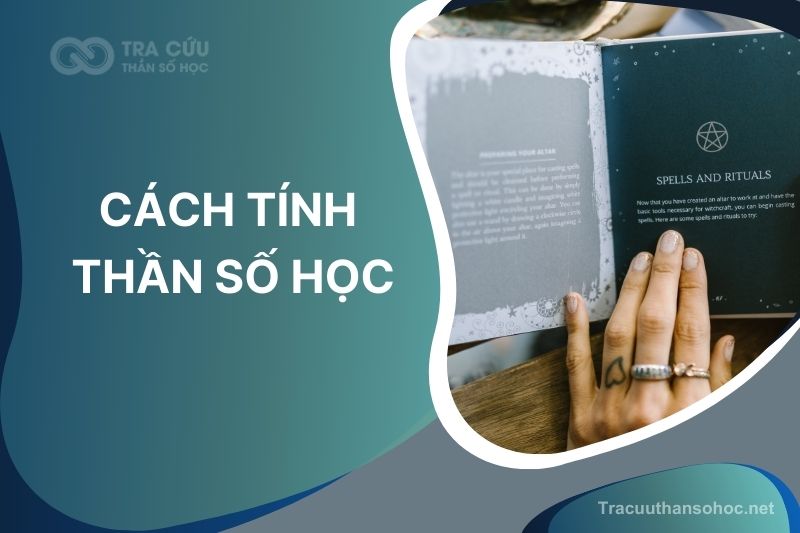 Cách Tính Thần Số Học Theo Tên và Ngày Tháng Năm Sinh Cực Đơn Giản 2024