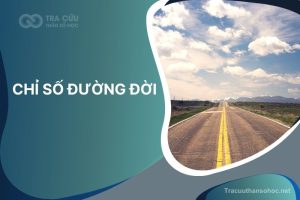Chỉ số đường đời là gì? Cách tính và ý nghĩa các con số chủ đạo trong thần số học