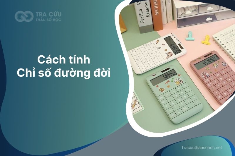 Chỉ số đường đời được tính bằng tổng số ngày tháng năm sinh của bạn