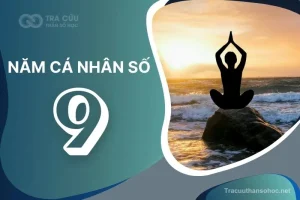 Năm cá nhân số 9 là gì? Tác động đến các con số chủ đạo như thế nào?