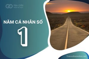 Năm cá nhân số 1 là gì? Tác động đến các con số chủ đạo như thế nào?