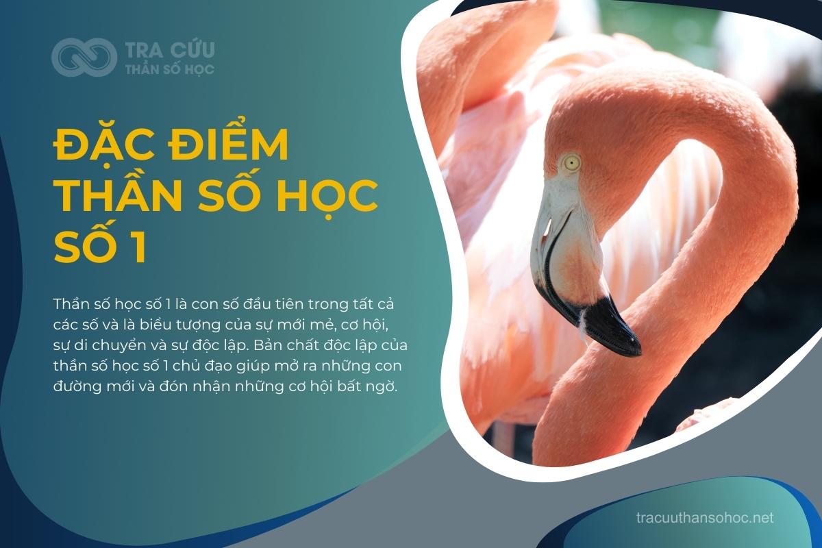 THẦN SỐ HỌC SỐ 1 THẦN SỐ HỌC SỐ 1