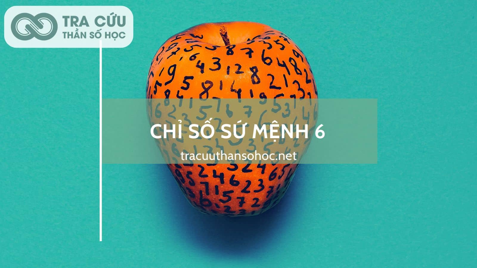 Chỉ số sứ mệnh 6: Tình cảm, sống có trách nhiệm