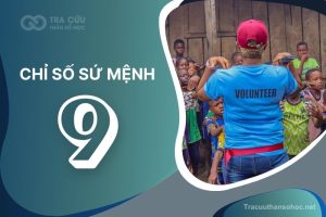 Chỉ số sứ mệnh 8: Ưu điểm và hạn chế của người sở hữu
