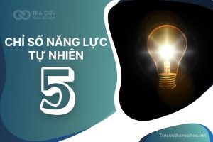 Chỉ số năng lực tự nhiên số 5 là gì? Đặc điểm tính cách, nghề nghiệp và hướng phát triển