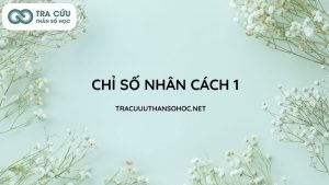 Chỉ số nhân cách 1