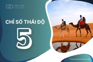 Chỉ số thái độ 5 là gì? Đặc điểm tính cách, sự nghiệp và tình duyên như thế nào?