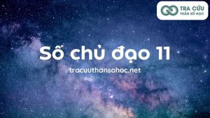 Số chủ đạo 11