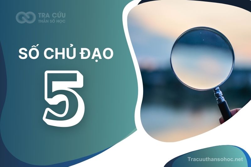 Số chủ đạo 5 là gì? Đặc điểm, hướng phát triển và nghề nghiệp phù hợp với chỉ số đường đời 5