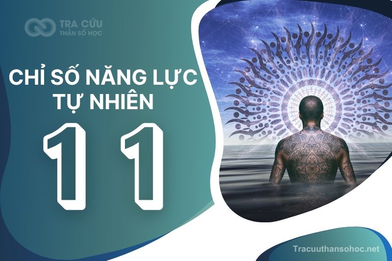 Chỉ số năng lực tự nhiên số 11 là gì? Đặc điểm tính cách, nghề nghiệp và hướng phát triển