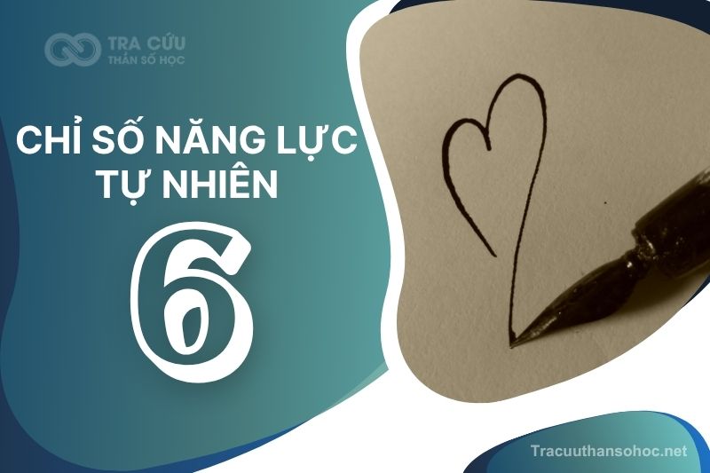 Chỉ số năng lực tự nhiên số 6 là gì? Đặc điểm tính cách, nghề nghiệp và hướng phát triển