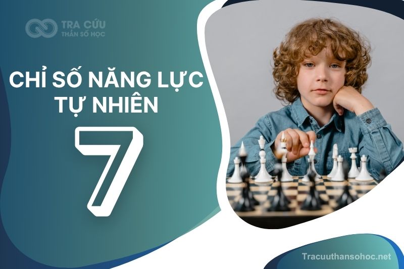 Chỉ số năng lực tự nhiên số 7 là gì? Đặc điểm tính cách, nghề nghiệp và hướng phát triển