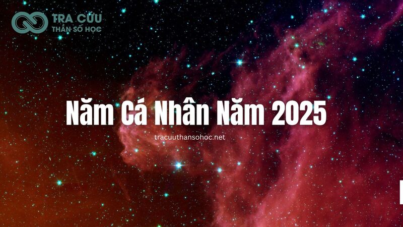 Năm cá nhân năm 2025