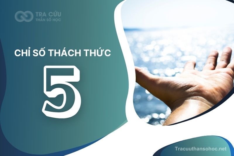 Giải mã chỉ số thách thức 5: Bài học về sự tự do, linh hoạt và khao khát khám phá