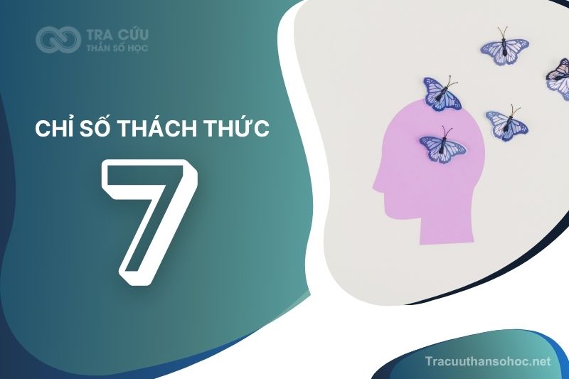 Giải mã chỉ số thách thức 7: Bài học về chiều sâu nội tâm, sự kết nối và trí tuệ