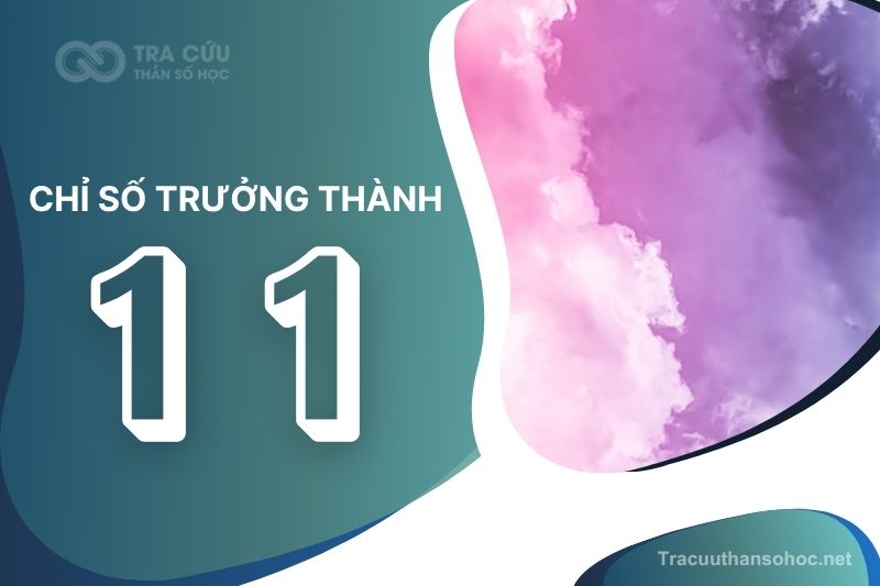 Chỉ số trưởng thành 11 là gì? Giải mã tính cách, ưu điểm và thách thức