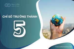 Chỉ số trưởng thành 5 là gì? Giải mã tính cách, ưu điểm và thách thức 