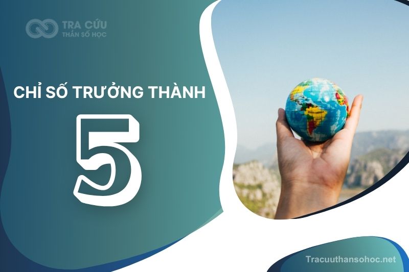 Chỉ số trưởng thành 5 là gì? Giải mã tính cách, ưu điểm và thách thức 