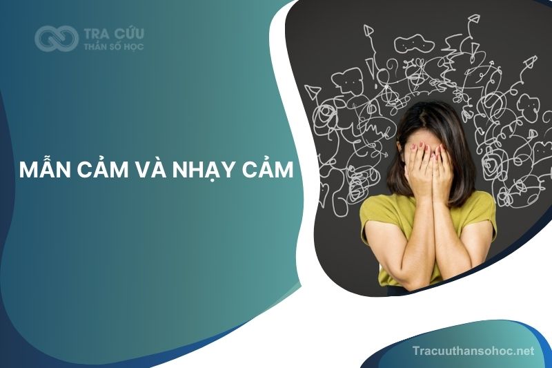 Mẫn cảm và nhạy cảm: Phân biệt và cách phát huy thế mạnh dựa trên Thần số học
