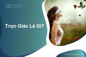 Trực giác là gì? Khám phá năng lực giác quan thứ 6 qua thần số học