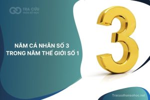 Năm cá nhân số 3 trong năm thế giới số 1: Giai đoạn tỏa sáng, phát triển cá nhân