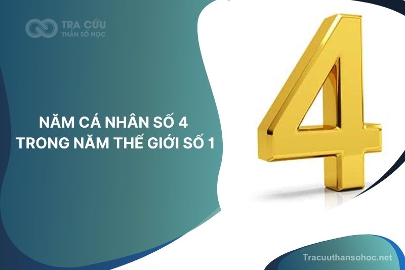 Năm cá nhân số 4 trong năm thế giới số 1: Thời điểm củng cố, lập kế hoạch dài hạn