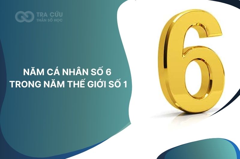 Năm cá nhân số 6 trong năm thế giới số 1: Giai đoạn của sự yêu thương và ổn định