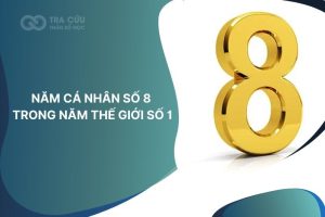 Năm cá nhân số 8 trong năm thế giới 1: Thời điểm bứt phá, khẳng định vị thế