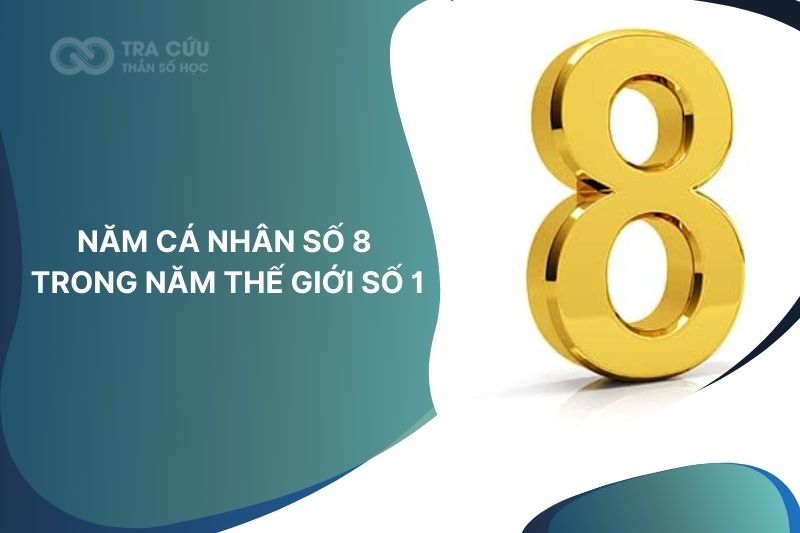 Năm cá nhân số 8 trong năm thế giới 1: Thời điểm bứt phá, khẳng định vị thế