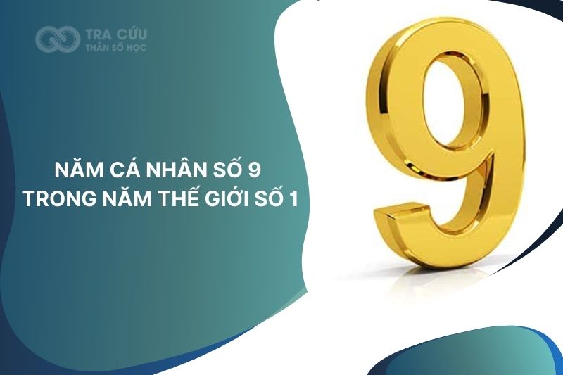 Năm cá nhân số 9 trong năm thế giới số 1: Năm hoàn thiện và chuẩn bị chu kỳ mới