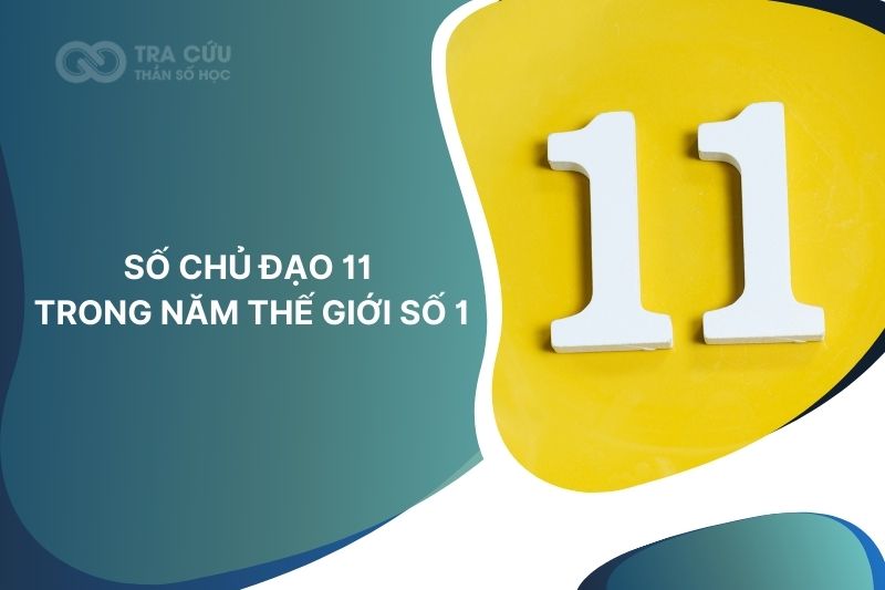 Số chủ đạo 11 trong năm thế giới số 1: Giai đoạn kết nối nội tâm và tạo dấu ấn cá nhân